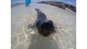 galapagosislands-sightseeing