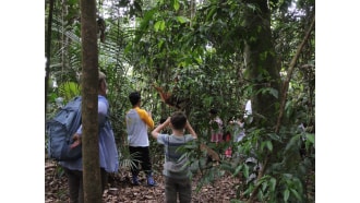 mountleuser-sightseeing