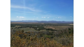 papagayopeninsula-sightseeing