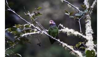 manúnationalpark-sightseeing