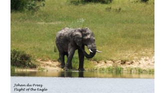 krugernationalpark-sightseeing