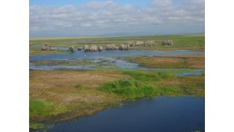 amboselinationalpark-sightseeing