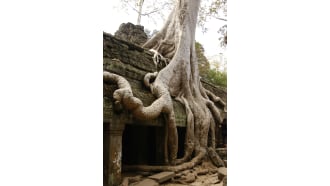 siemreap-sightseeing