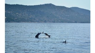 zadar-sightseeing