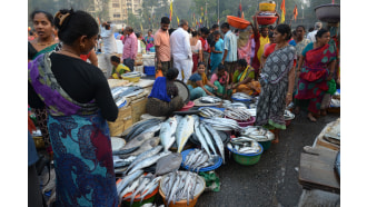 mumbai-sightseeing