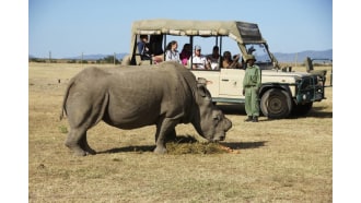 masaimara-sightseeing