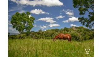 merida-sightseeing