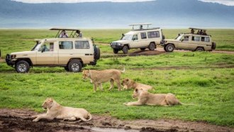 Kubwa Five Safaris - Private Tour Operator in Kampala, Uganda | tourHQ