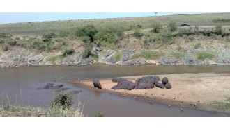 nairobinationalpark-sightseeing