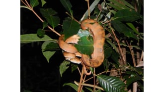 iquitos-sightseeing