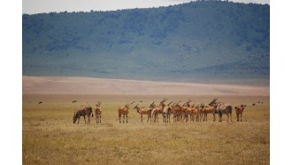 arusha-sightseeing