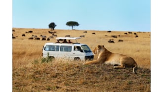 nairobi-sightseeing