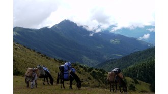 thimphu-sightseeing