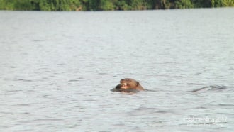 tambopatanationalreserve-sightseeing