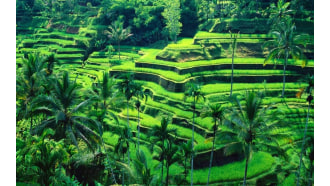 bali-sightseeing