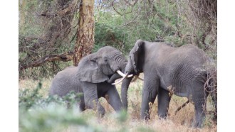 arusha-sightseeing