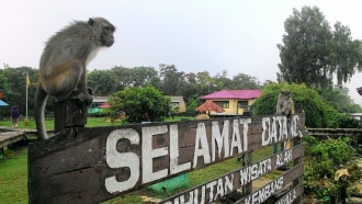 banjarmasin-sightseeing