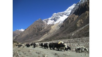 kathmandu-sightseeing