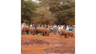 nairobi-sightseeing