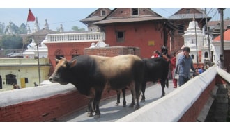 kathmandu-sightseeing