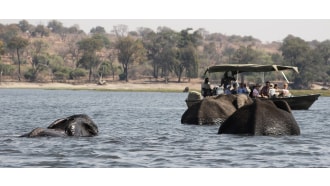 victoriafalls-sightseeing