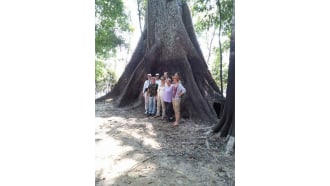 manaus-sightseeing