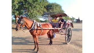 yangon-sightseeing