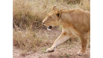 arusha-sightseeing