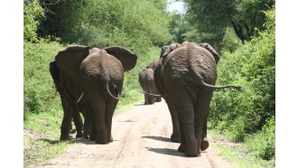 arusha-sightseeing