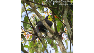 belize-sightseeing