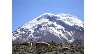 quito-sightseeing