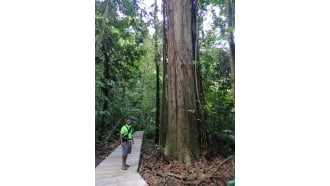 tortuguero-sightseeing