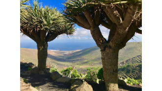 lanzarote-sightseeing