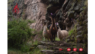 cusco-sightseeing