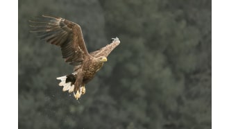 danubedelta-sightseeing