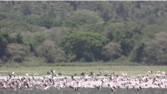 arusha-sightseeing