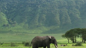 arusha-sightseeing