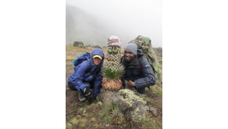 mountkilimanjaro-sightseeing