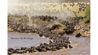 mountkenya-sightseeing