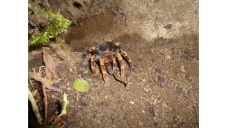 monteverde-sightseeing