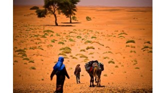 marrakech-sightseeing