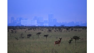 nairobi-sightseeing