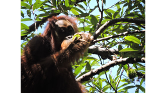 mountleuser-sightseeing