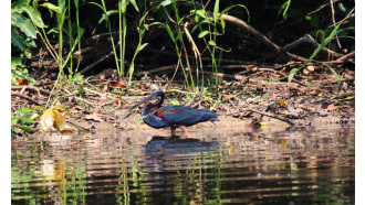 manúnationalpark-sightseeing