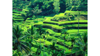 bali-sightseeing