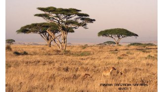 arusha-sightseeing