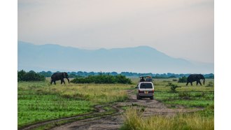 queenelizabethnationalpark-sightseeing