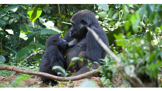 kampala-sightseeing