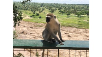 arusha-sightseeing