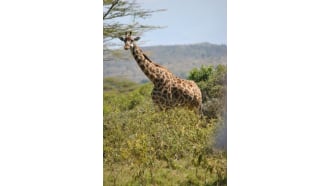 arusha-sightseeing